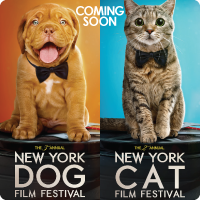 Cat & Dog Film Festival