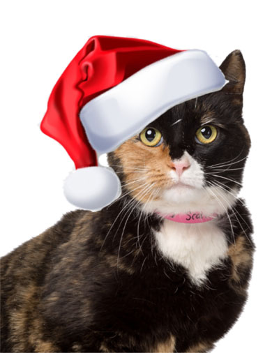 Holiday Tails Art & Craft Fair 2019