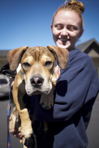 wellness clinic for dogs